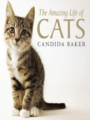 cover image of The Amazing Life of Cats